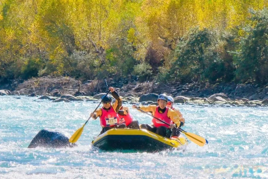 alt, 积极推动作 alt, 积极推动作